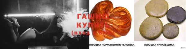 шишки Вязники